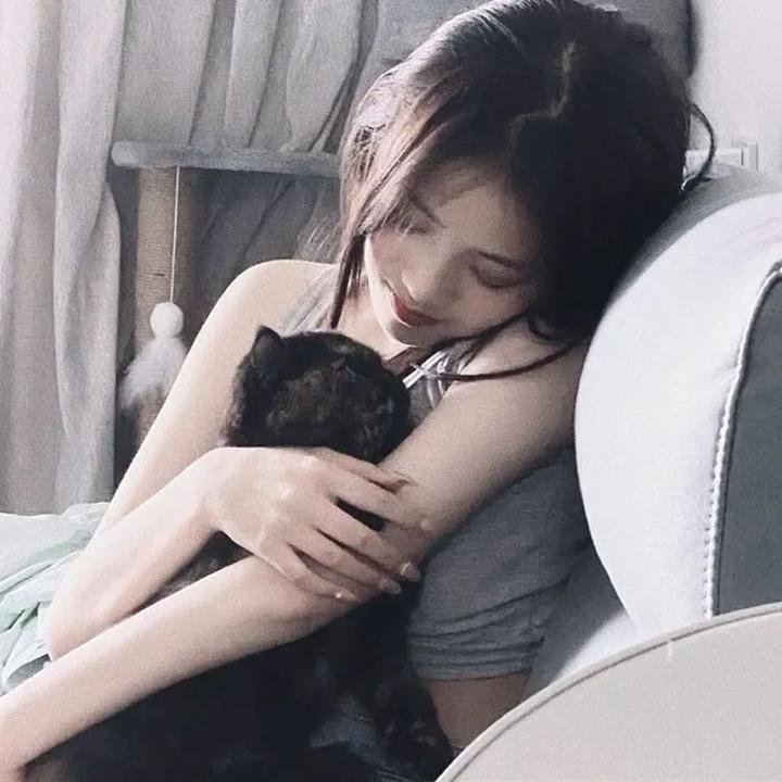 西莉斯在纽约